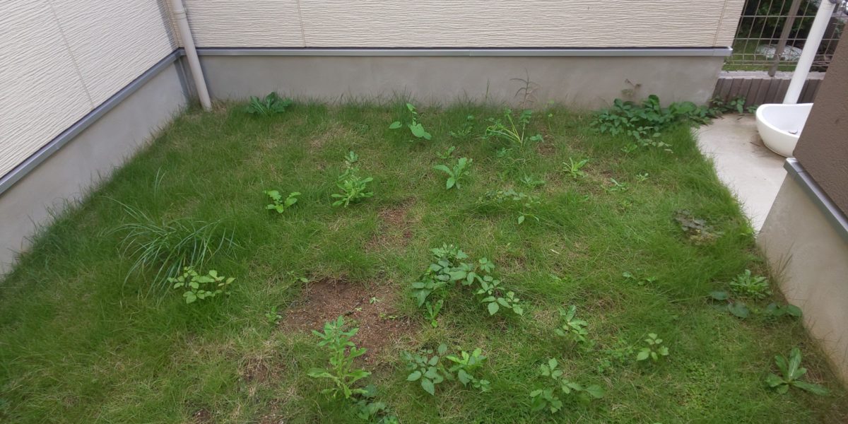 日当たりの悪い場所でも人工芝なら青々とお庭を彩ります 施工事例 東京23区 千葉の人工芝施工専門店 Green Forever